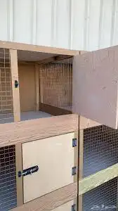 محاكر دجاج حمام صوص 5