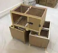 محاكر دجاج حمام صوص 19