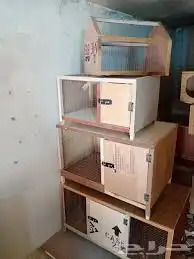 محاكر دجاج حمام صوص 11