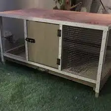 محاكر دجاج حمام صوص 20