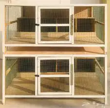 محاكر دجاج حمام صوص 25