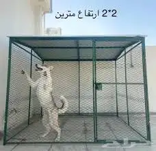 شبك بقلاوه طيور حمام دواجن 9