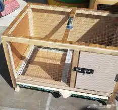 محاكر دجاج حمام صوص 27