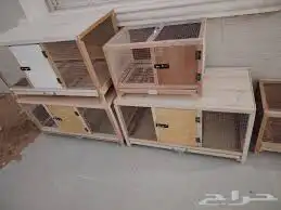 محاكر دجاج حمام صوص 14