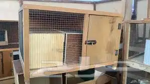 محاكر دجاج حمام صوص 2