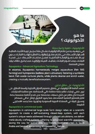 تصميم بروفايل احترافي 1