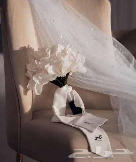 مصورة لوما 19