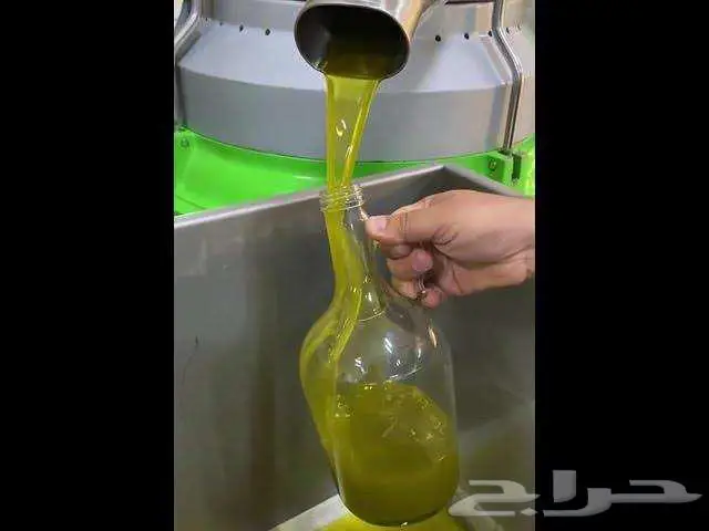 زيت زيتون فلسطيني 1