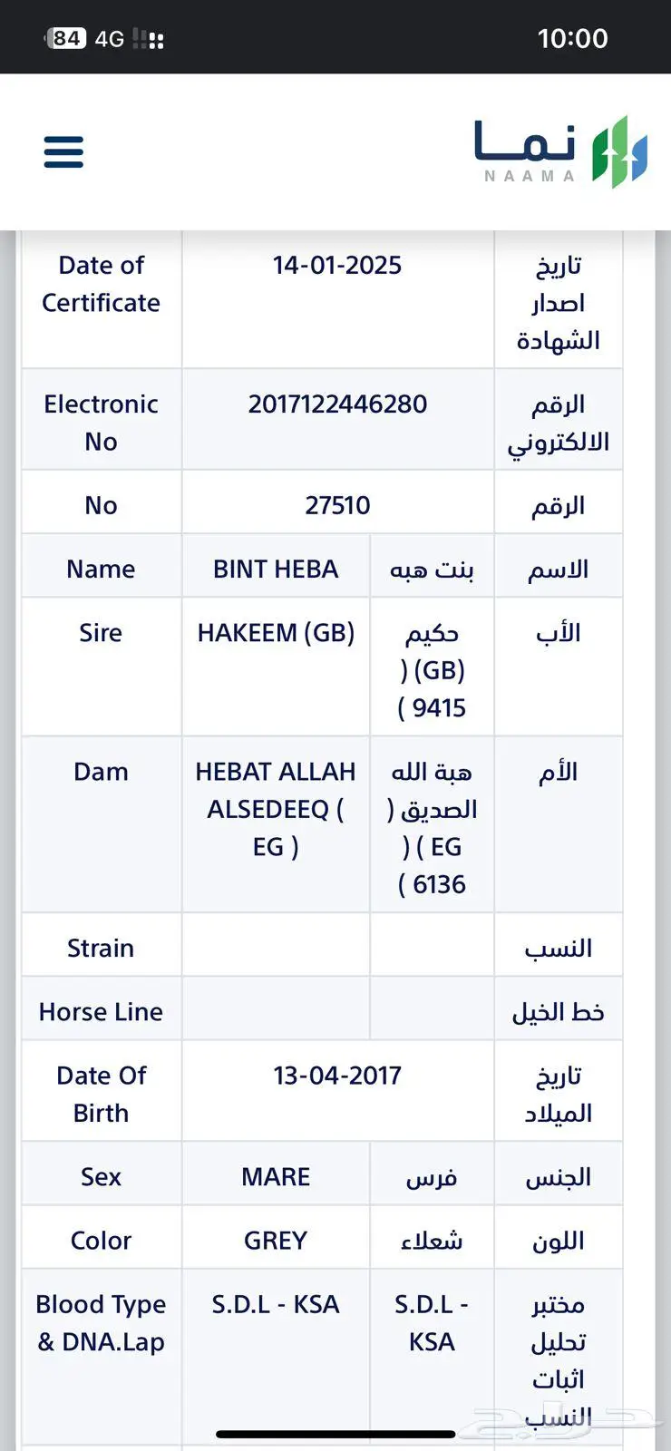فرس واهو خط عربي فرنسي 0