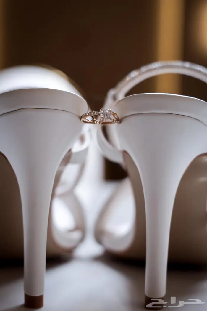 مصورة لوما 21