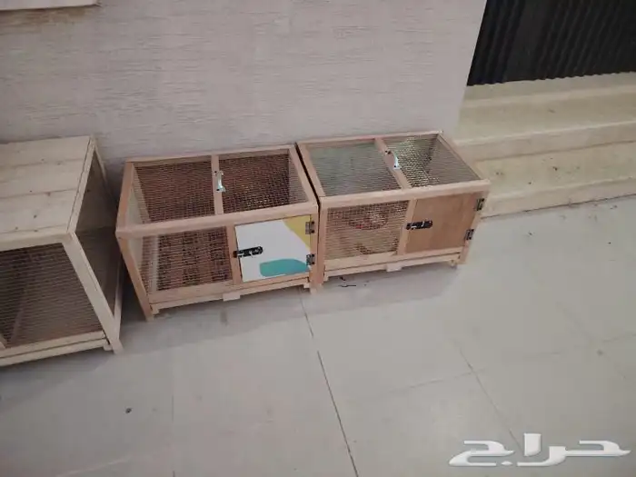 محاكر دجاج حمام صوص 13