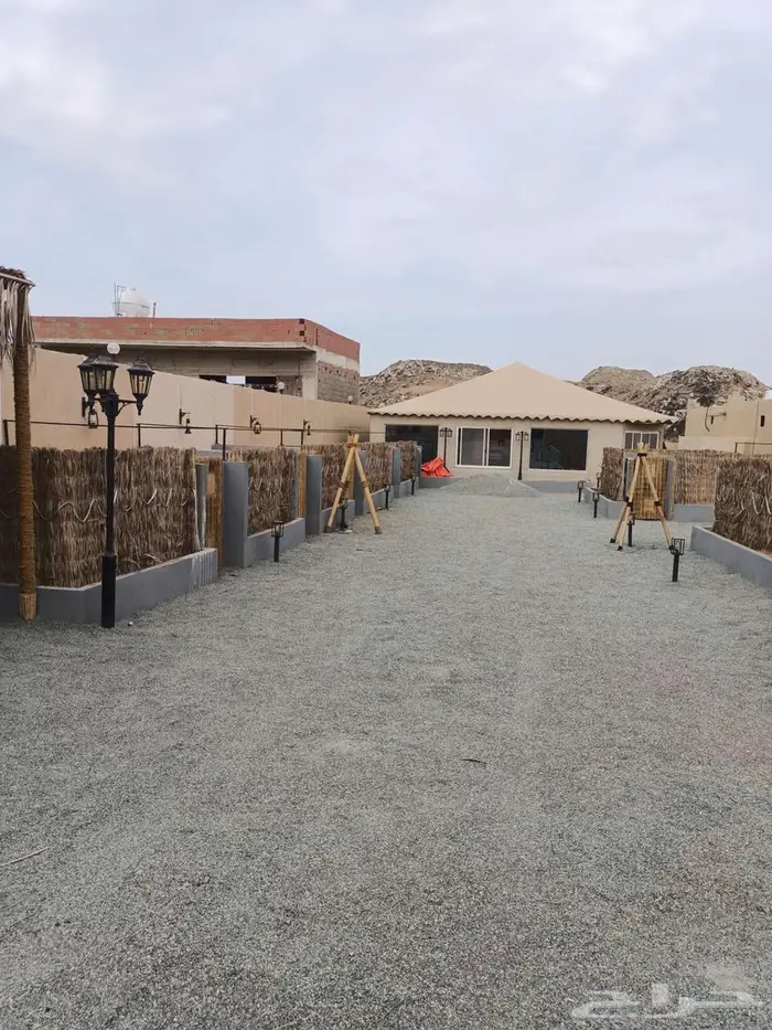 تراث خيزران وسعف النخيل 7