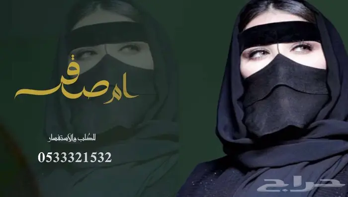 منشد شيلات شاعر جزل 0