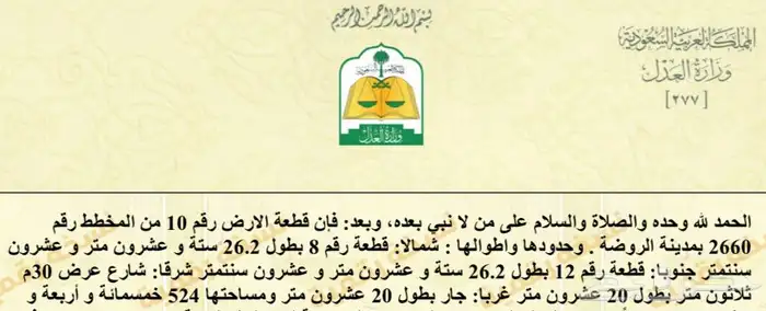 مساحه 524 شارع 30 شرقي في مدينة الروضة تابعه لمحافظة حائل 0