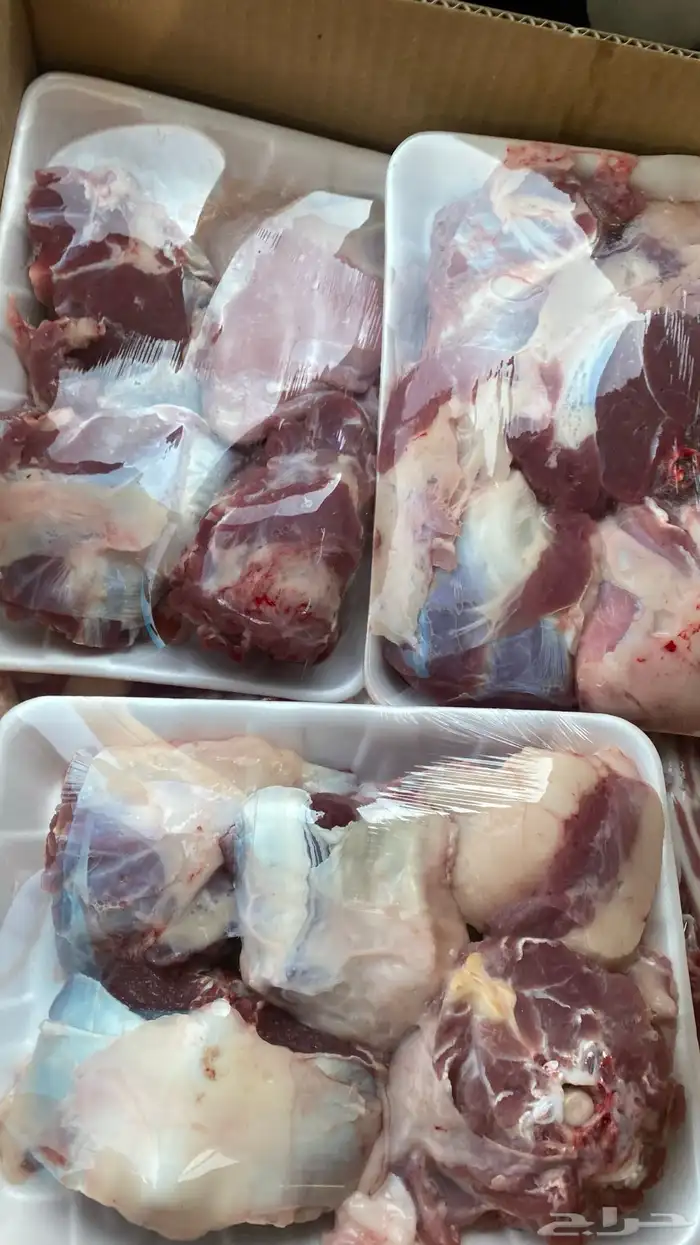 طليان جذعان سواكن مرابي 13