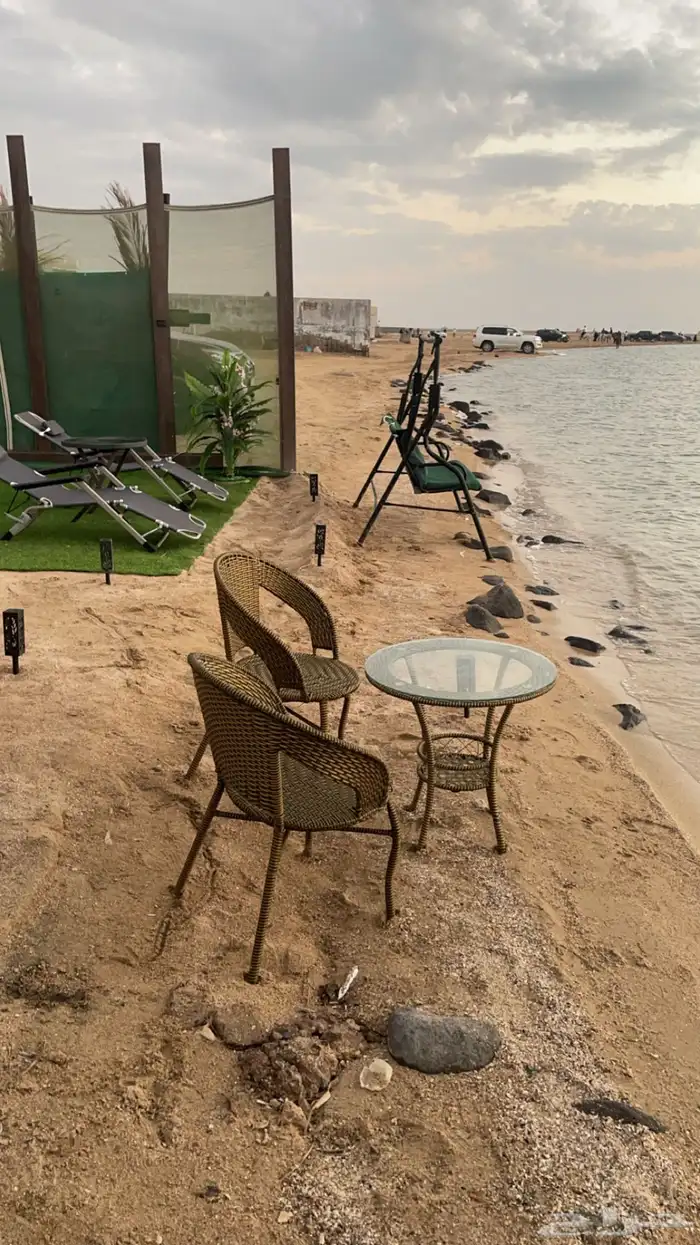 كرفان العز بجده شاطي الخيول 9