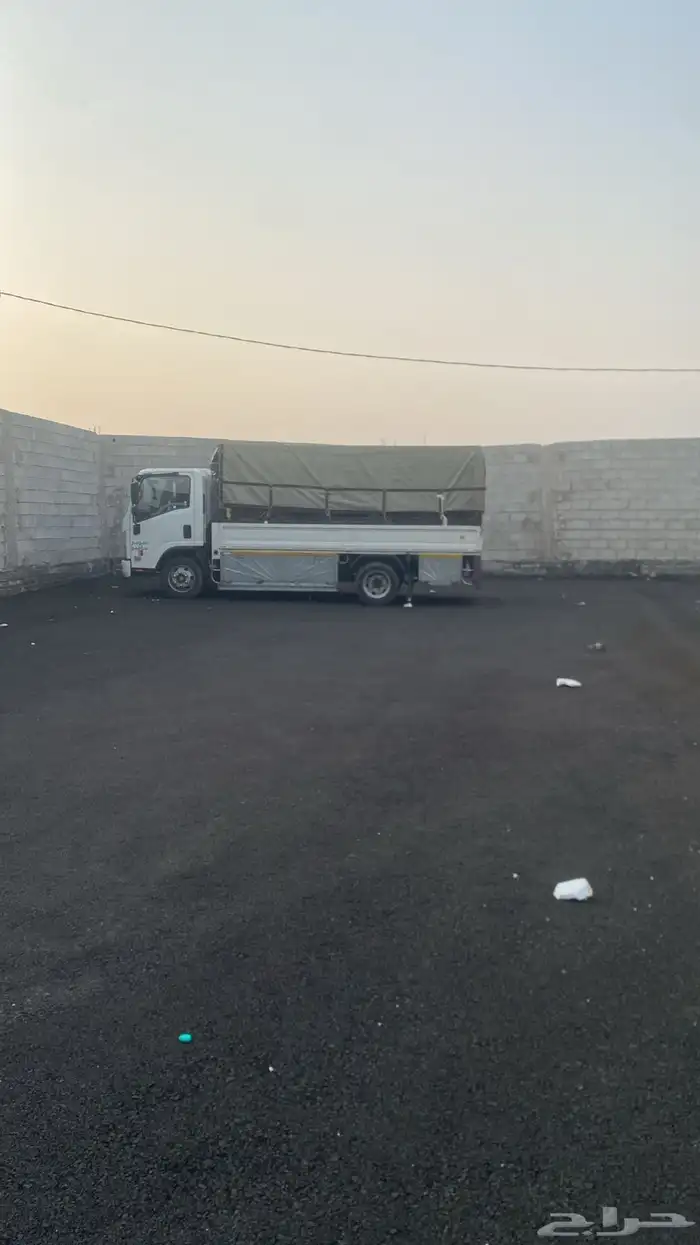 دينا دينه حلال غنم بقر أبل طابق قصب بأرق بقره المنضر الطحاح 1