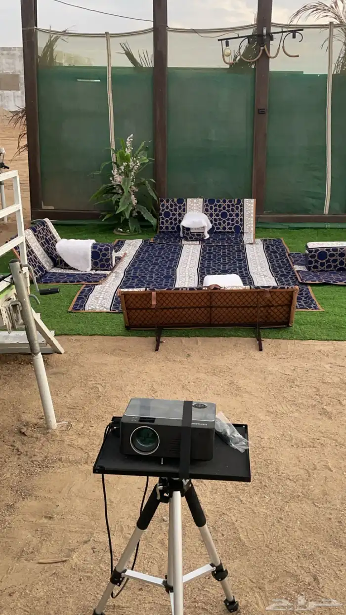 كرفان العز بجده شاطي الخيول 7