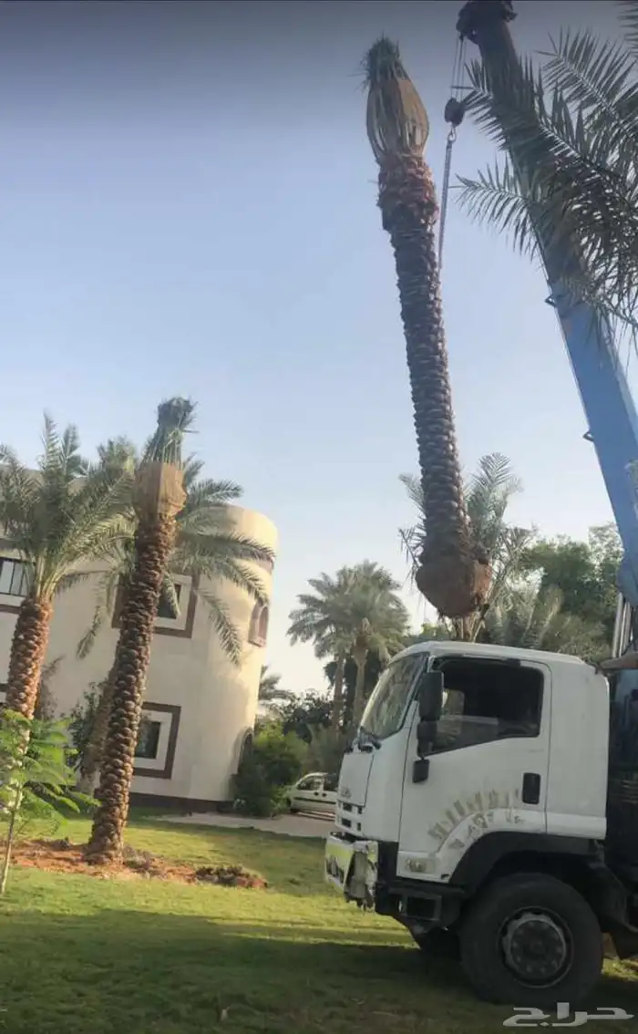 تنسيق حدائق لاند اكسيب 52