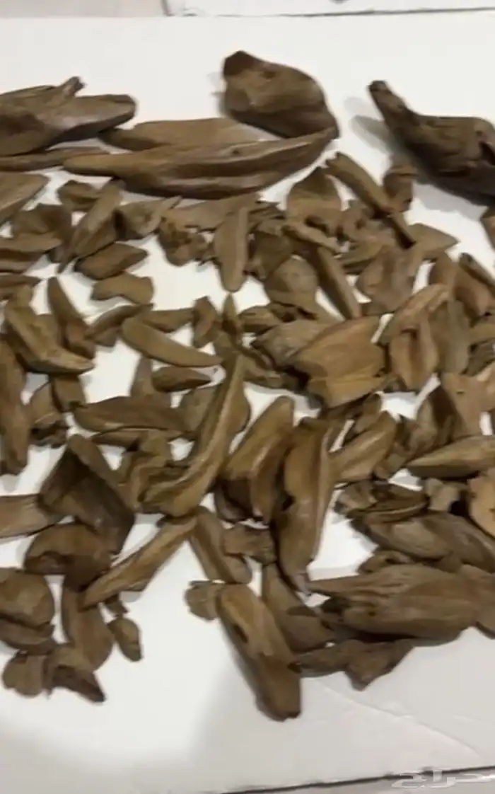 مروكي اصقوان 0