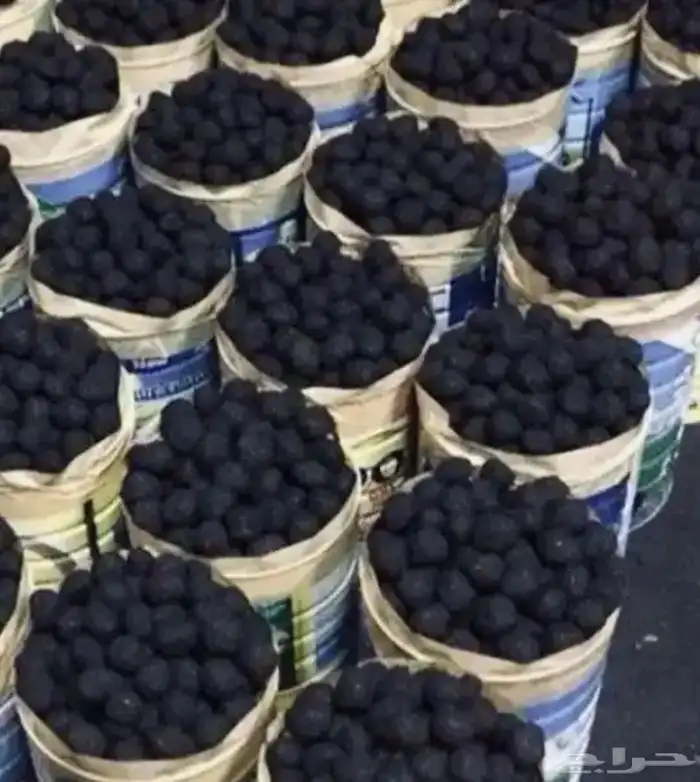 قوطي نيدوبخور الدوسري الملكي او العريس 250ريال بعد الخصم 230 4