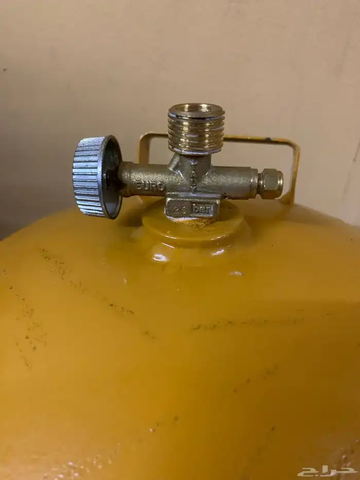 دافور ايطالي وراس ايطالي 12 رطل 1