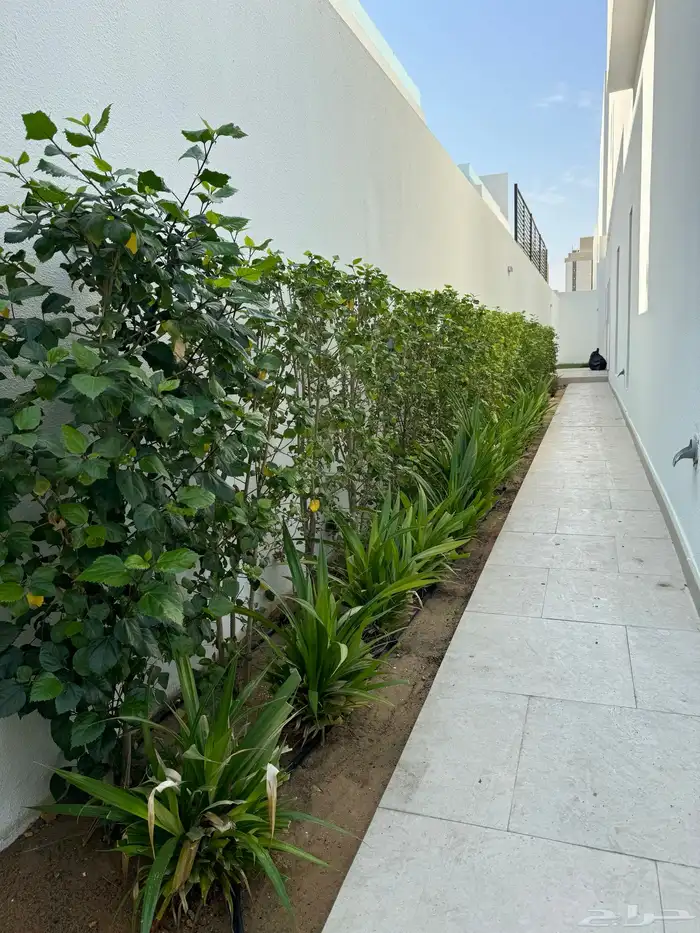 تنسيق حدائق 5