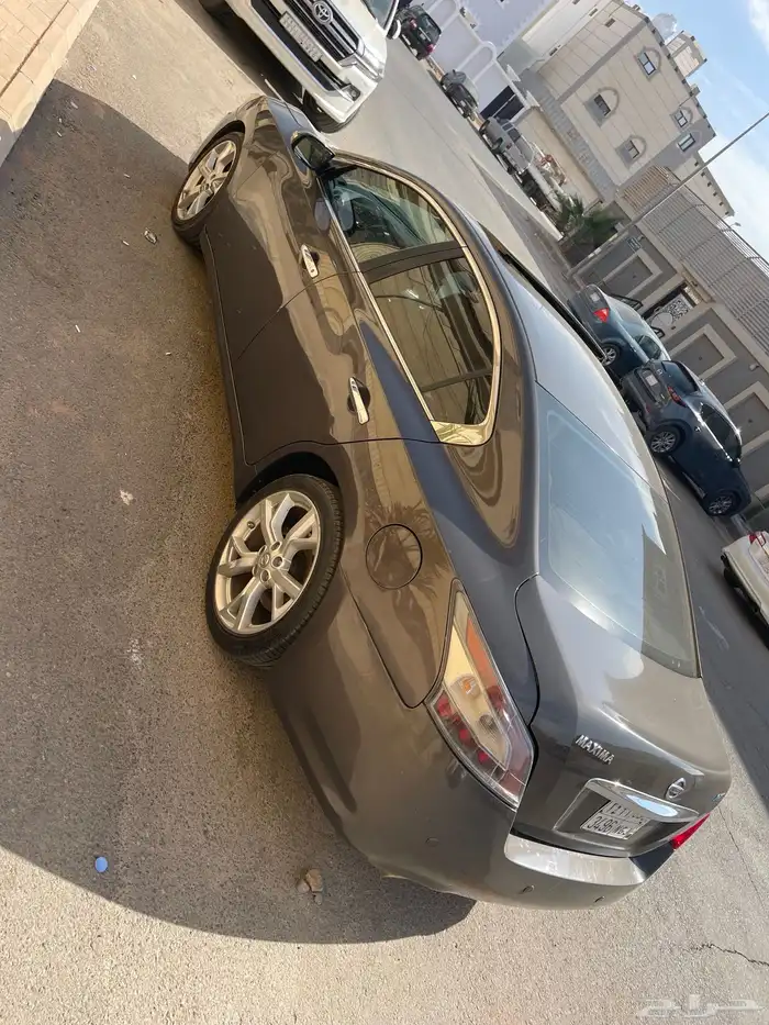 ماكسيما 2014 5