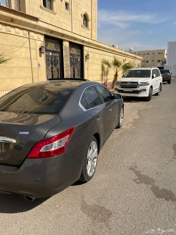 ماكسيما 2014 1