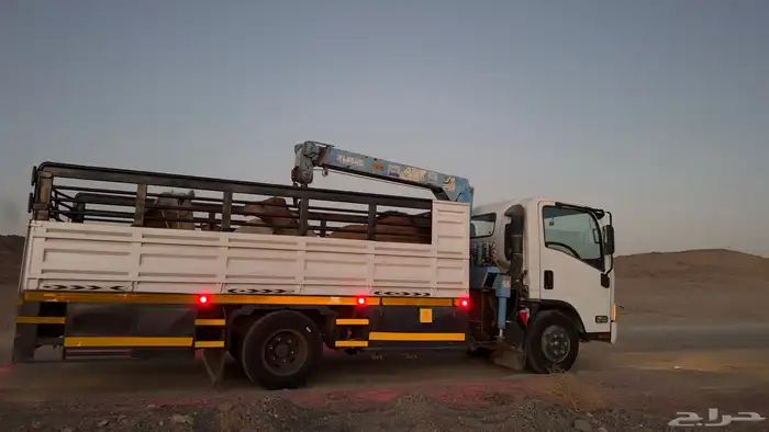 دينة ونش هدروليك بالوجه 0