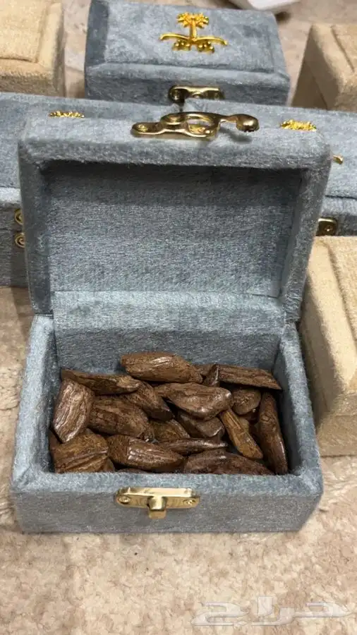 عود طبيعي محسن 1