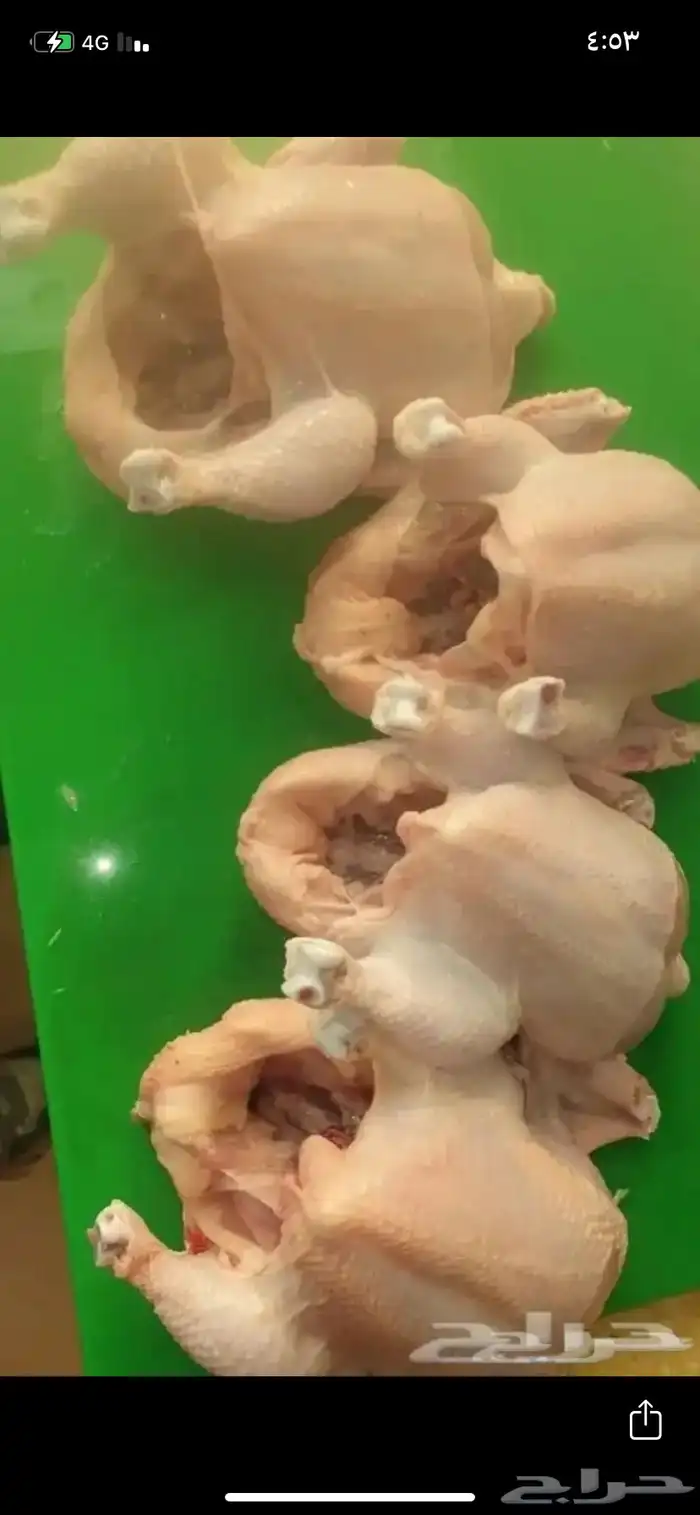 مسلخ دجاج 1