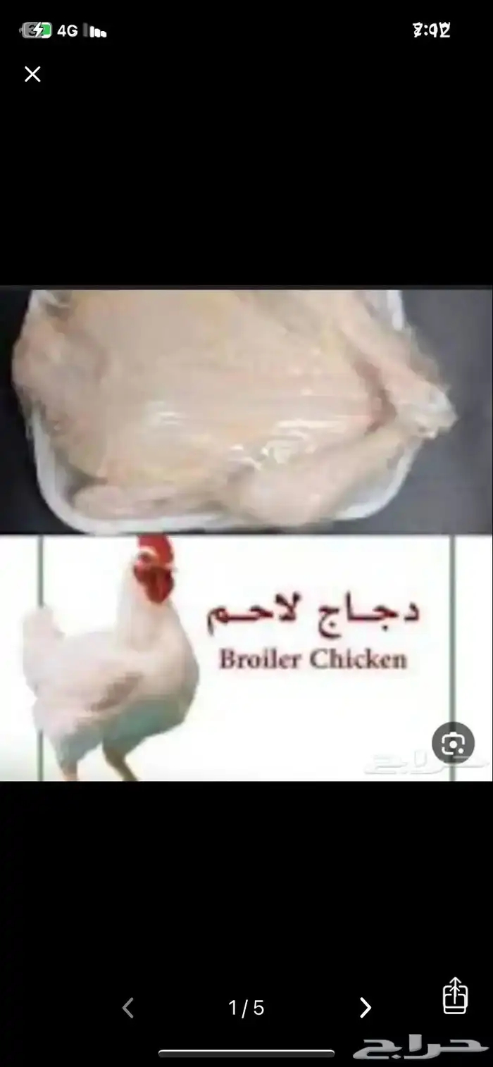 مسلخ دجاج 2