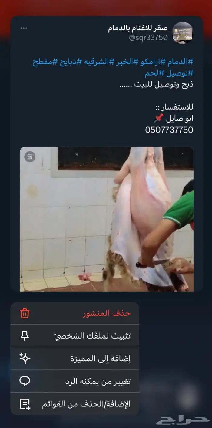 صقر للأغنام بالدمام 1