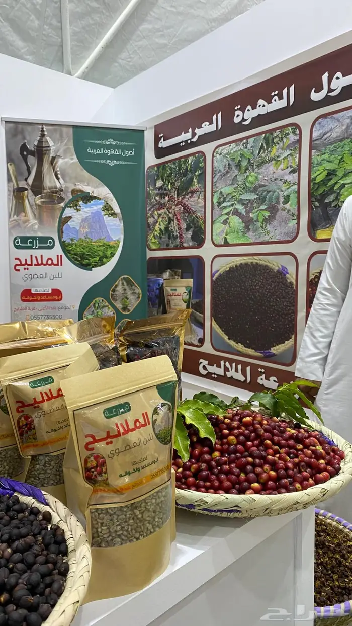 مزارع ابومساعد للبن الشدوي - جبل شدا الاعلى - قرية الملاليح 15