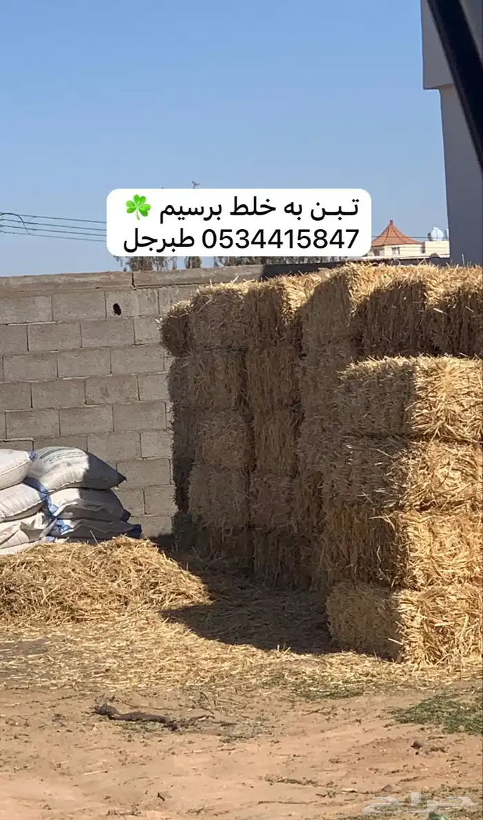 تبن بسيطا 0