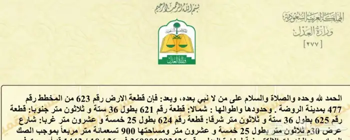 ارض مساحه 900 مخطط 477 في مدينة الروضة التابعه لمنطةحائل 0