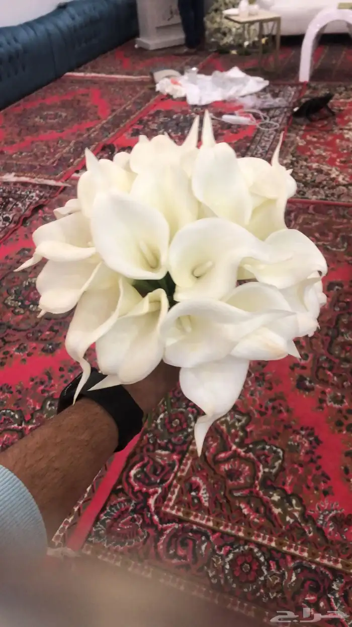 تنسيق وتاجير كوش ومداخل 9
