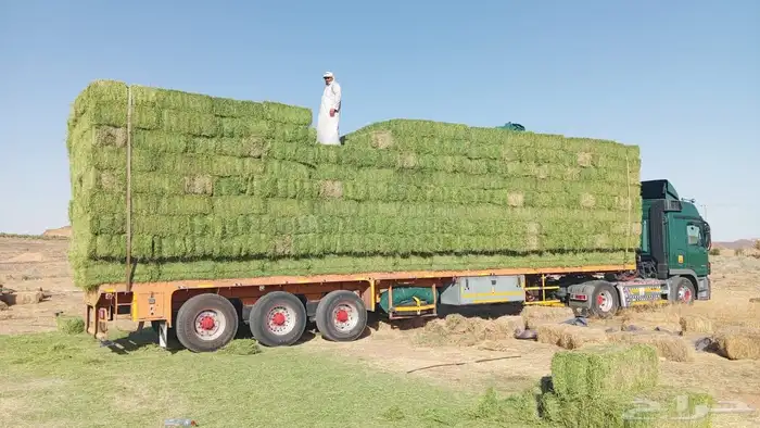 سطحه ثلاث محاور 0