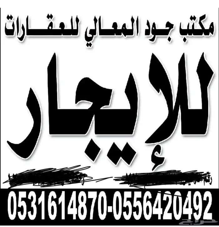 شقه للايجار 18
