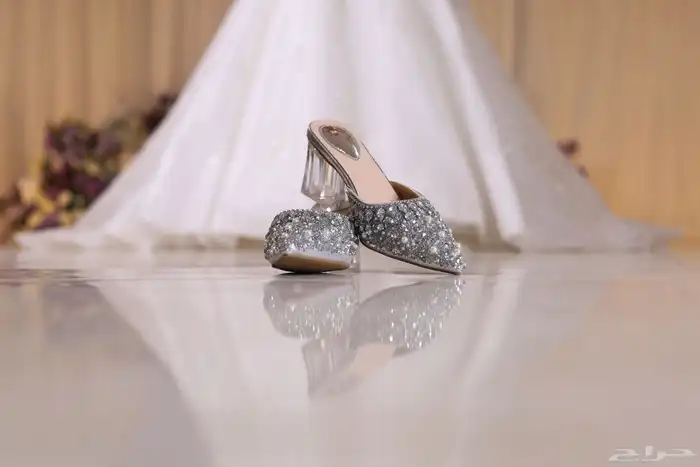 مصورة عرايس(بكج لفتره محدوده) 1