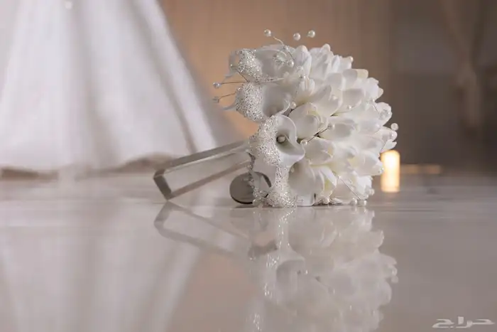 مصورة عرايس(بكج لفتره محدوده) 0