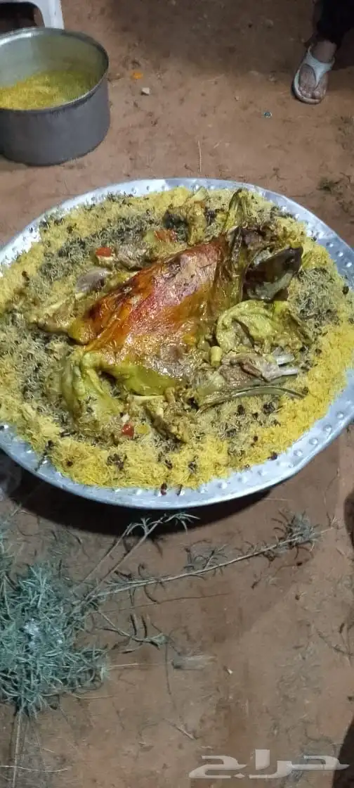 طلعات بر مكشات شاليه كل مكان بس عليك حدد المكان وازهل الباقي 0