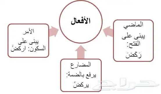 مطويات مشاريع طلاب  حل واجبات ابتدائي متوسط ثانوي بسعر مناسب 1