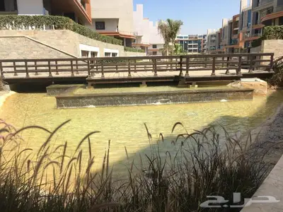 تركيب مسبح اسكيمر تركيب مسابح اسكيمر بالرياض 43