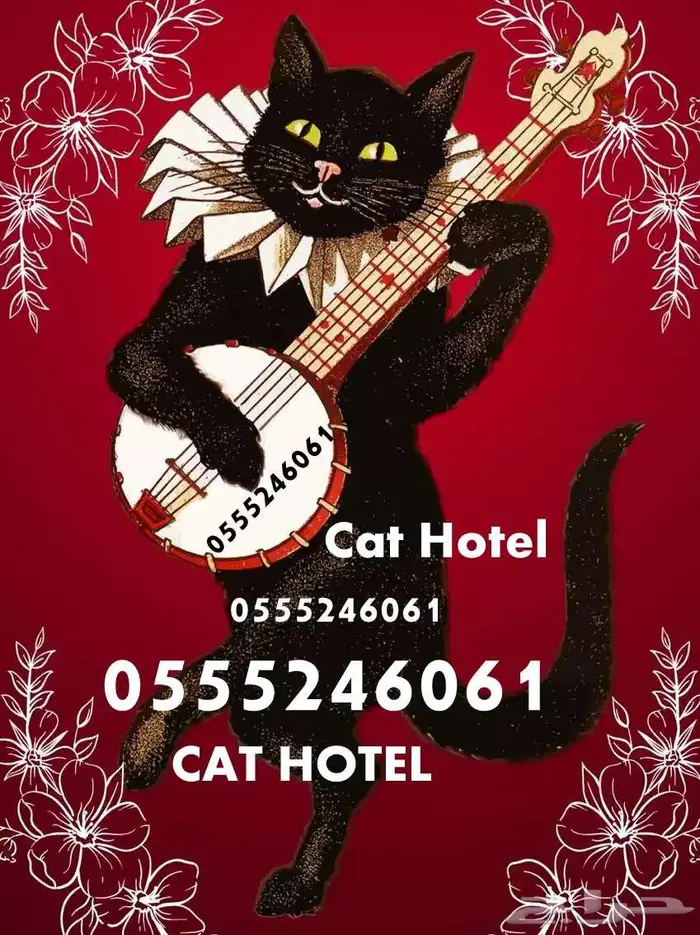 Cat Home 0555 24 6061 Riyadh 1