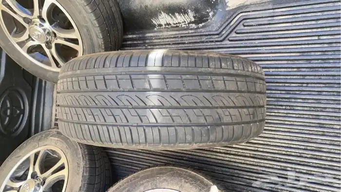 جنوط فراشة 0