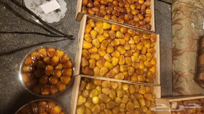 تمر رطب سكري جميع الأصناف 2