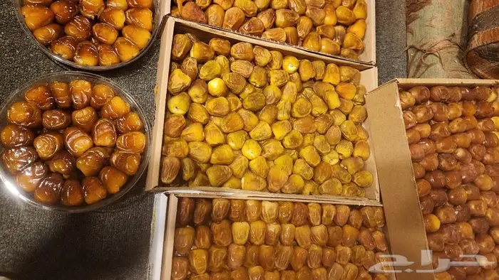 تمر رطب سكري جميع الأصناف 4