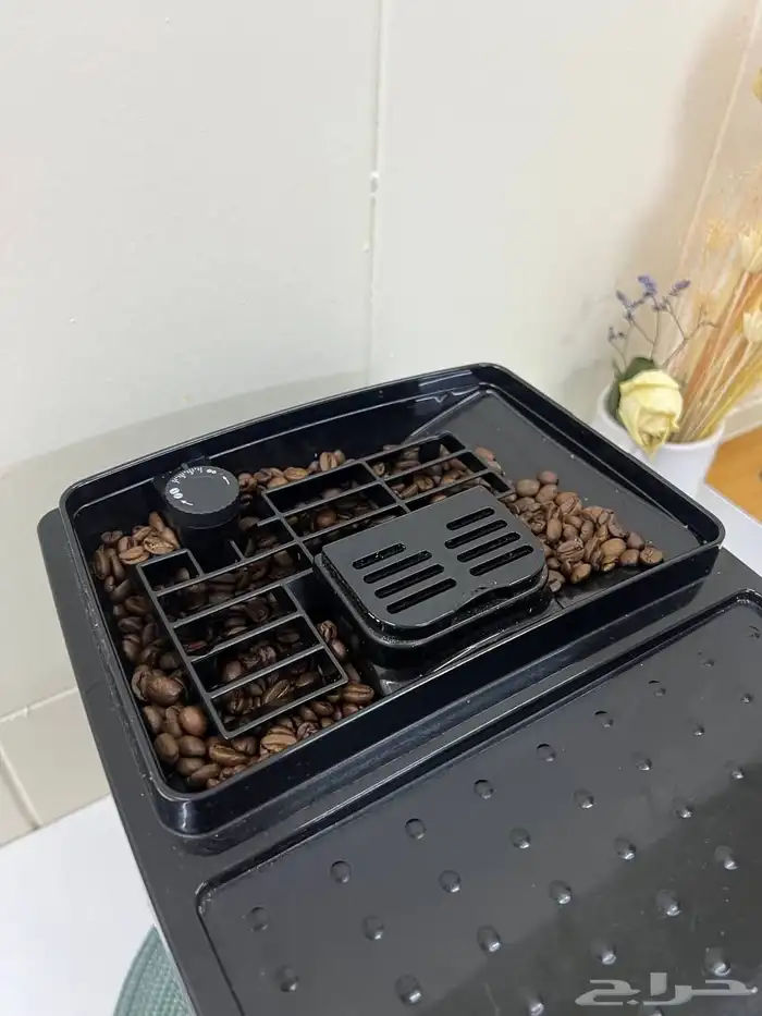 Delonghi Magnifica s 2